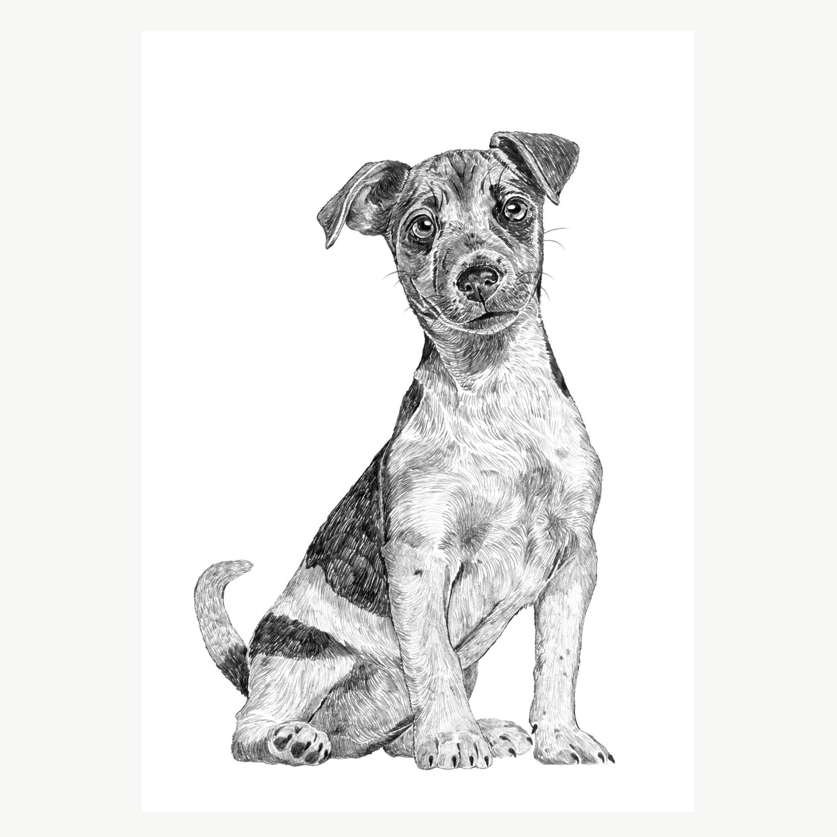 Jack Russell A4 Print – ROS SHIERS - Main Image