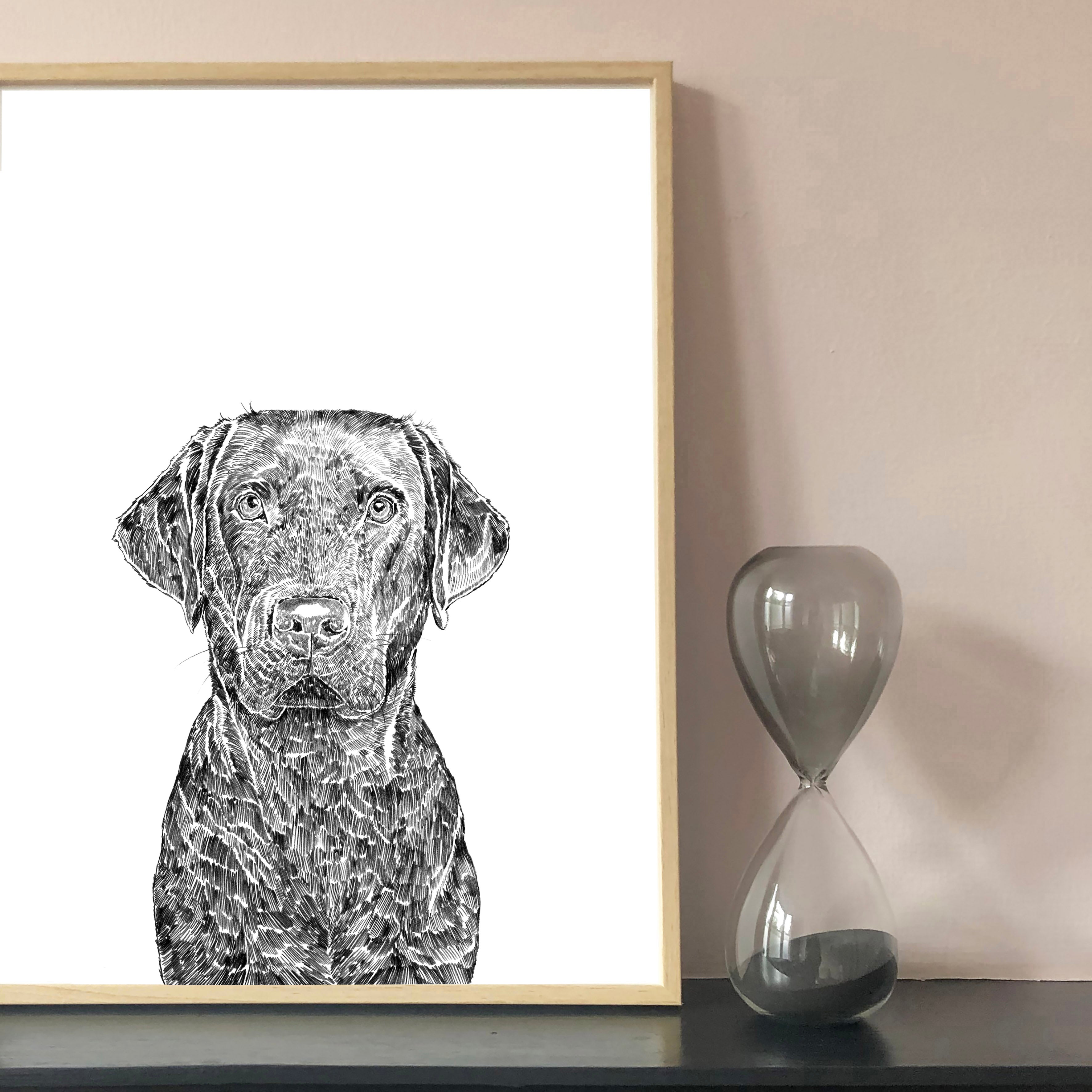 Lebra dog white sales price