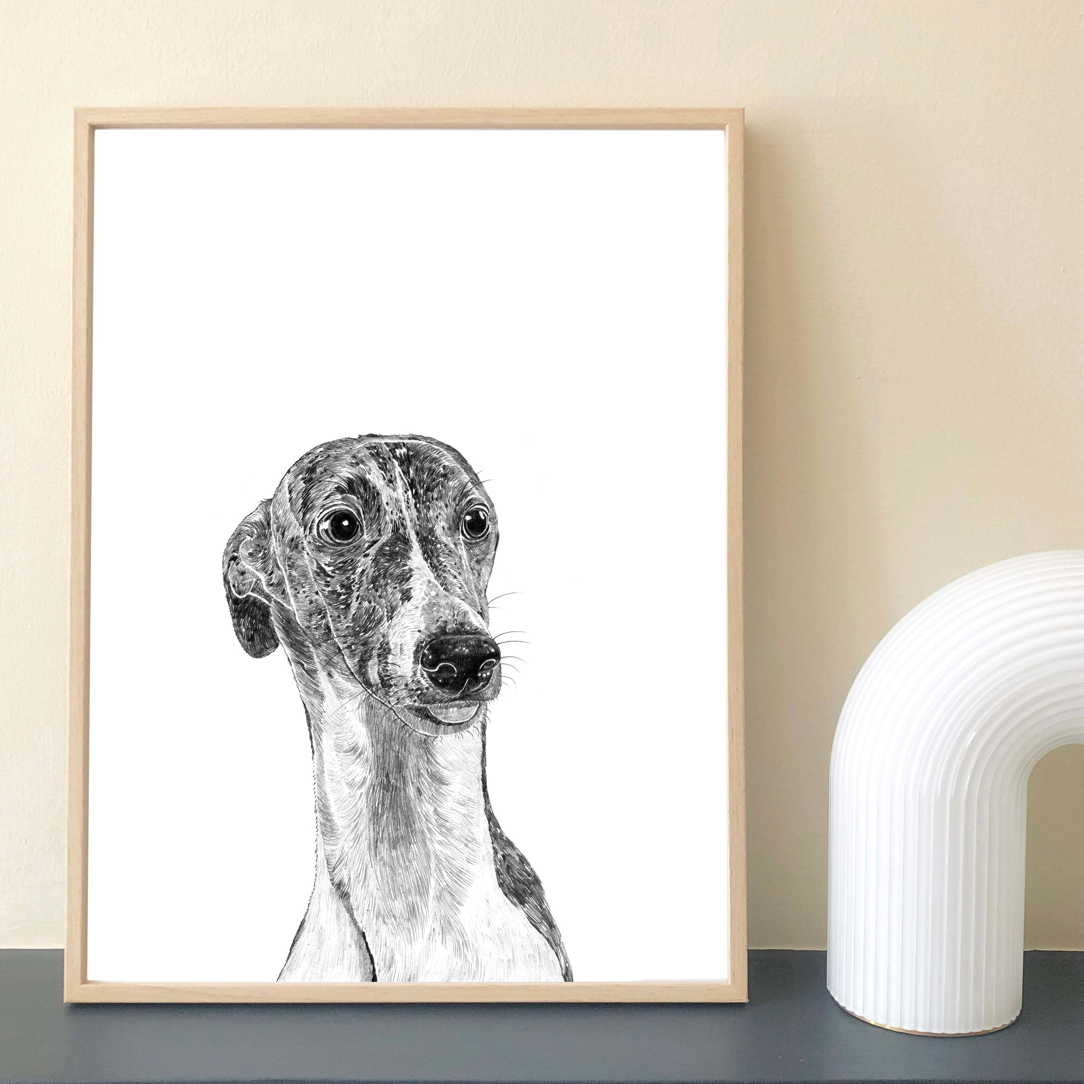 Whippet Dog Art Print