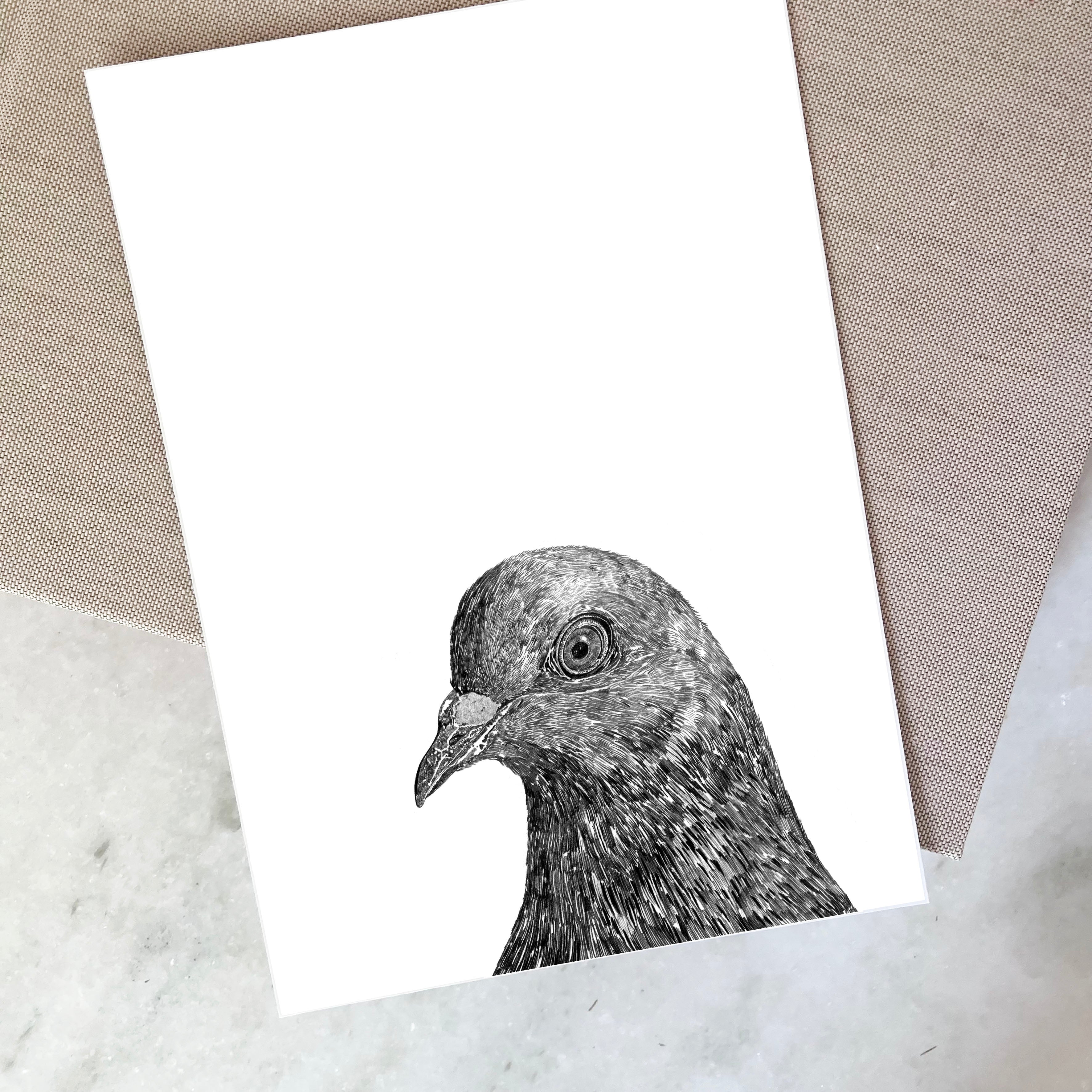 Pigeon Bird Print