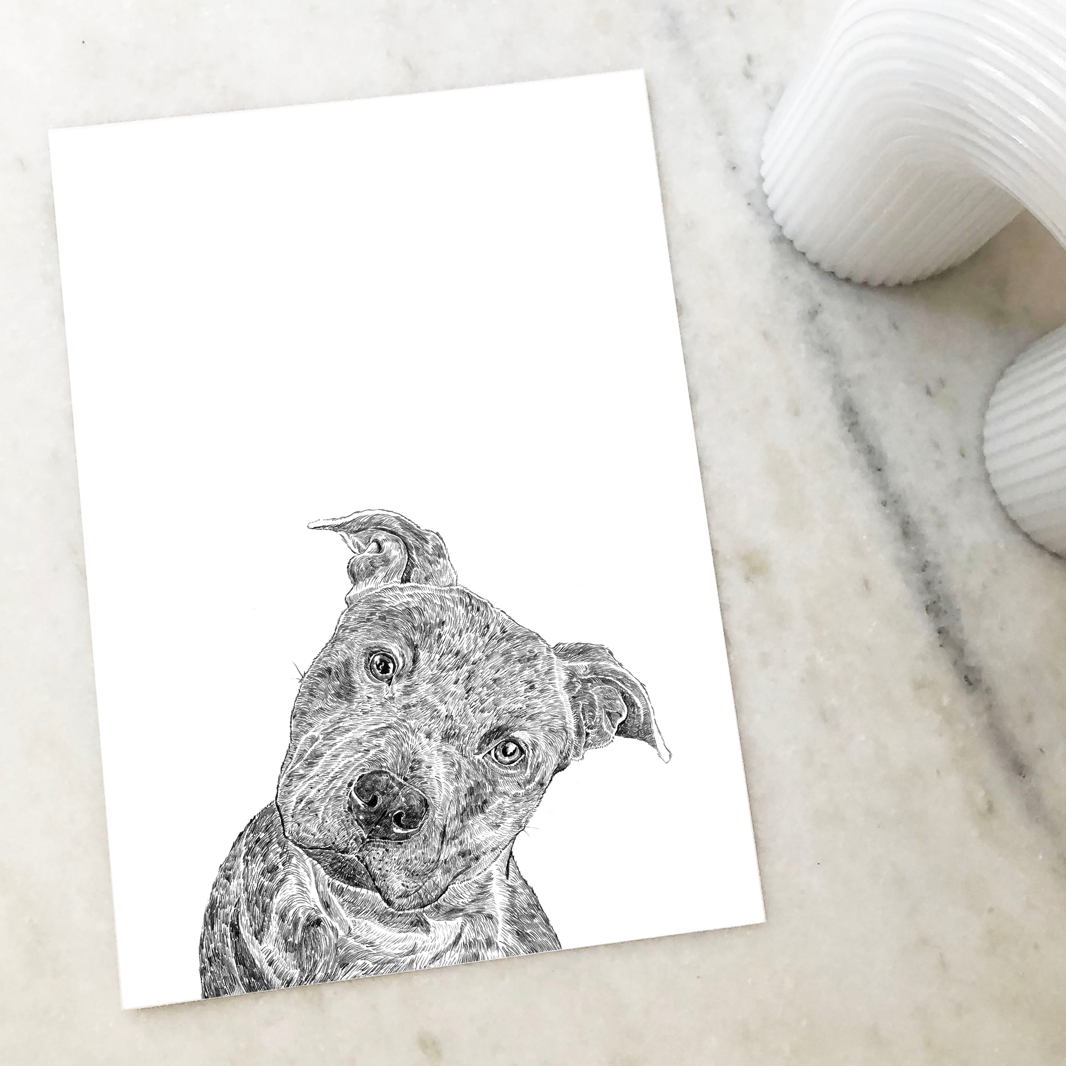 Staffordshire Bull Terrier Print