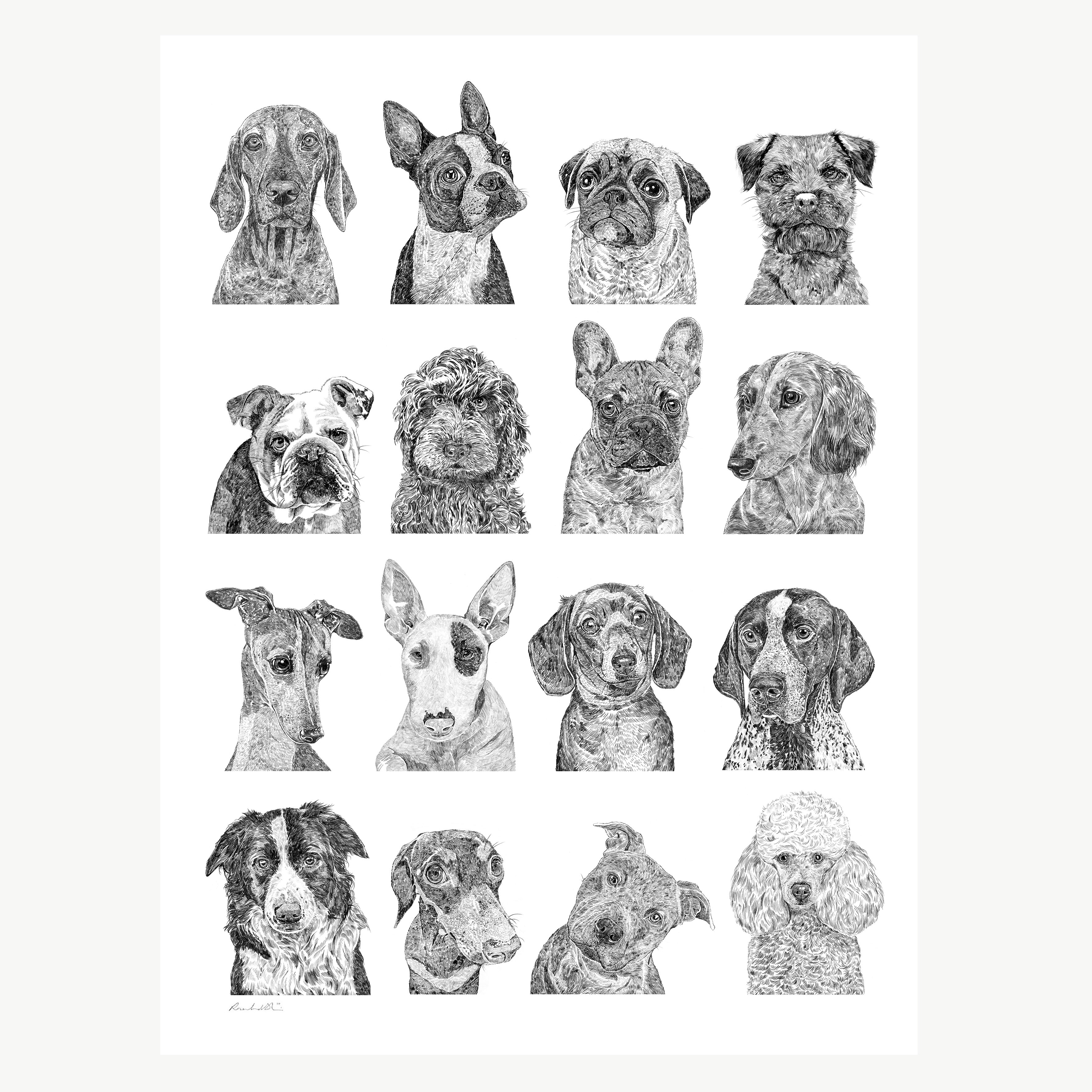 Dog Collection Print