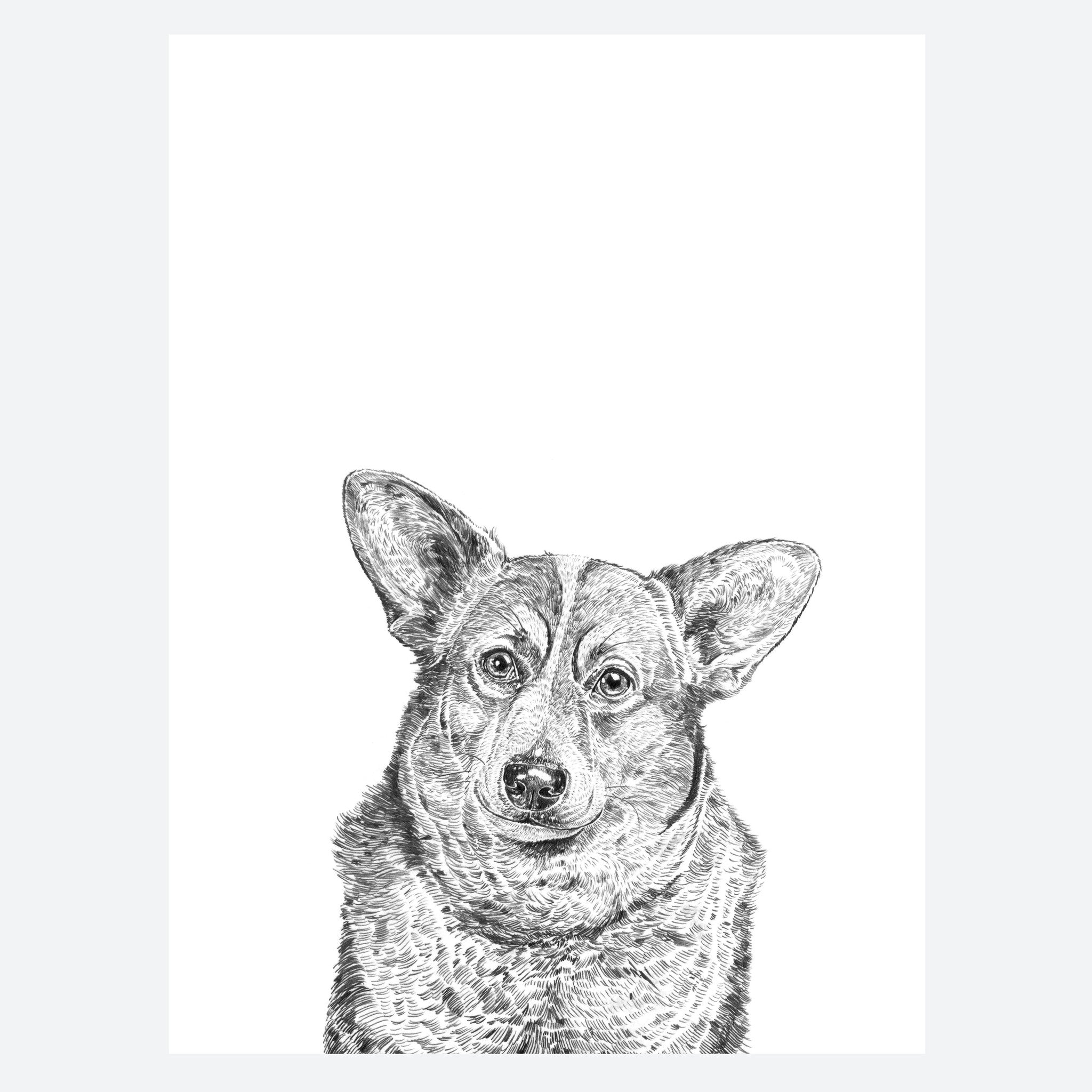 Corgi Dog Print