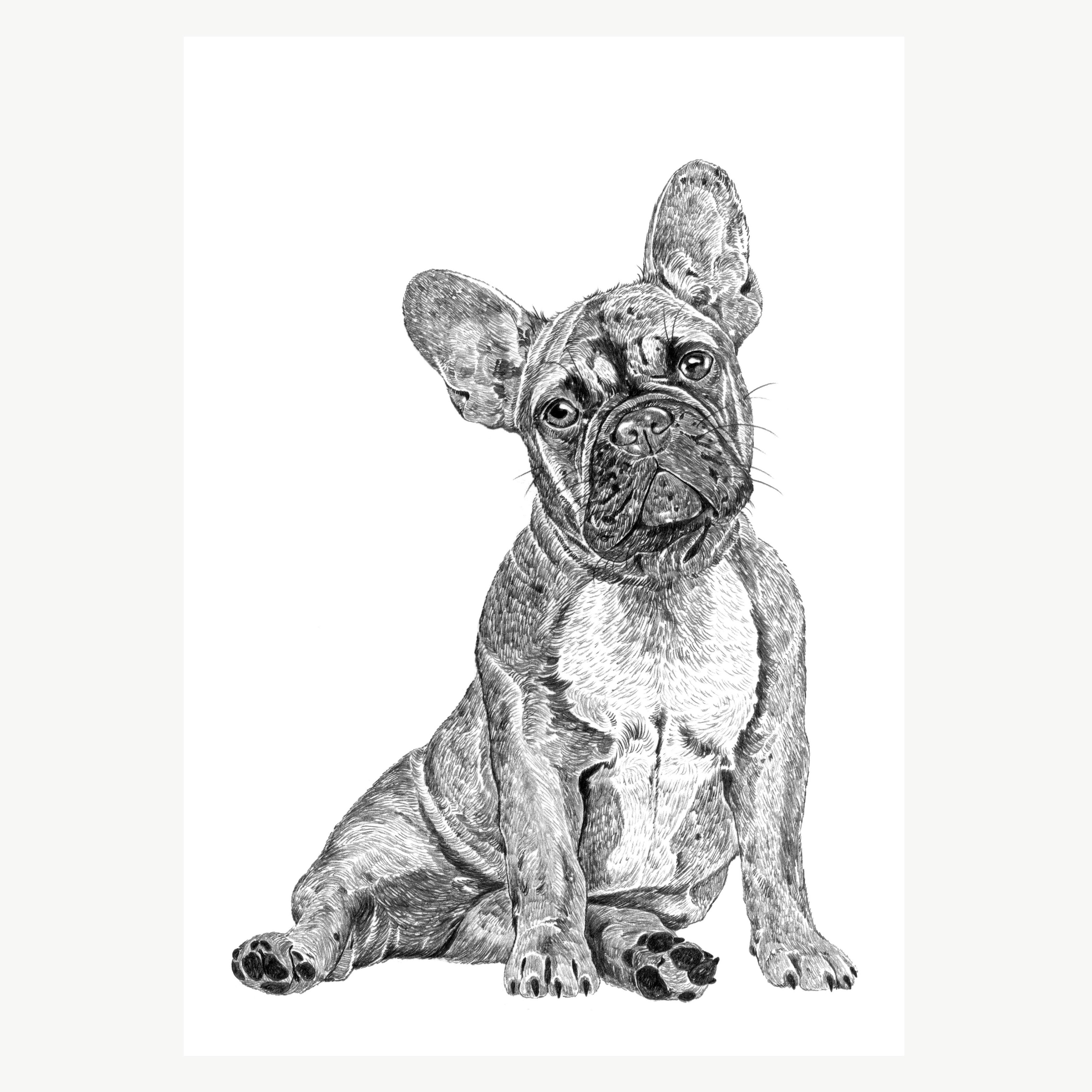 French Bulldog A4 Print