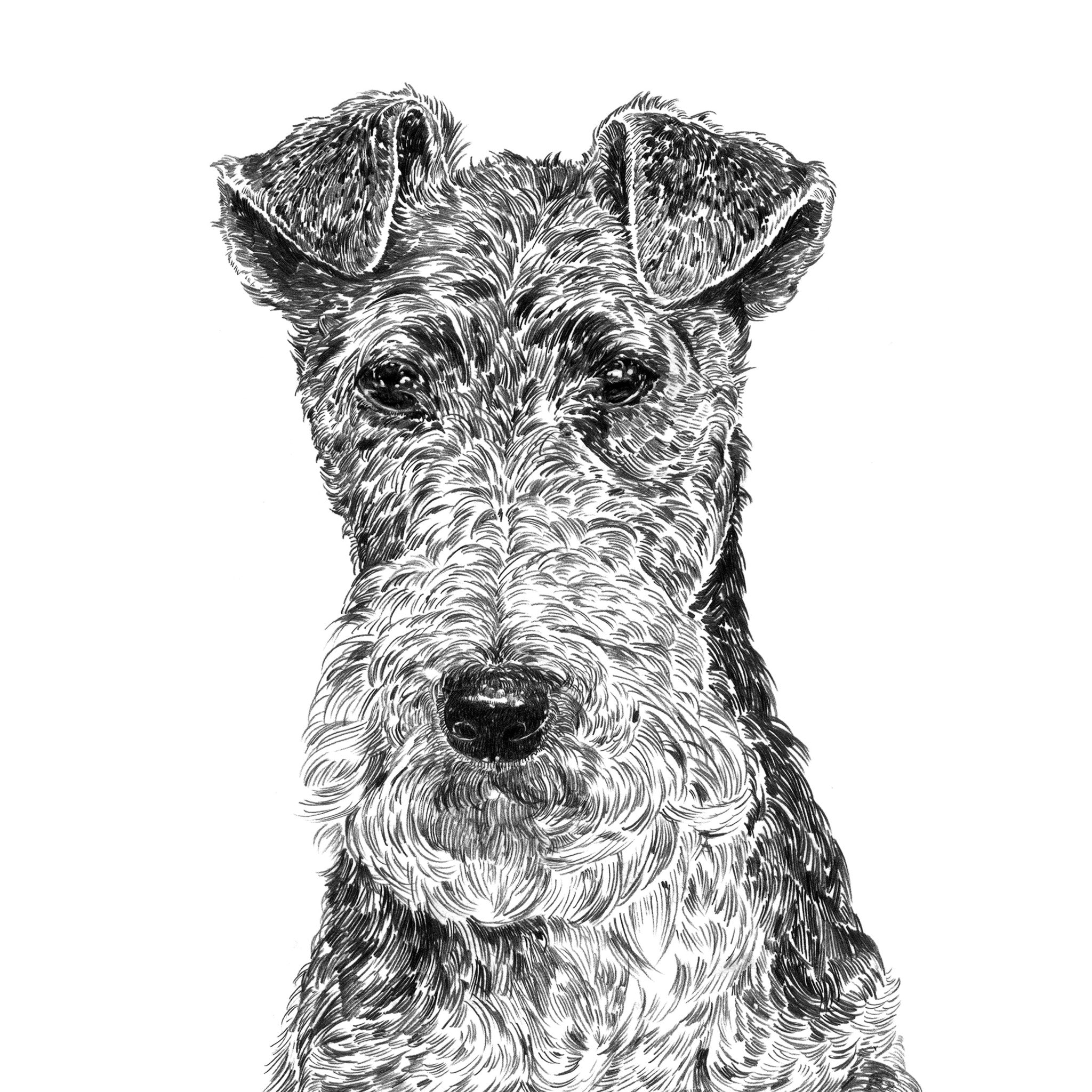 Fox Terrier Dog Print