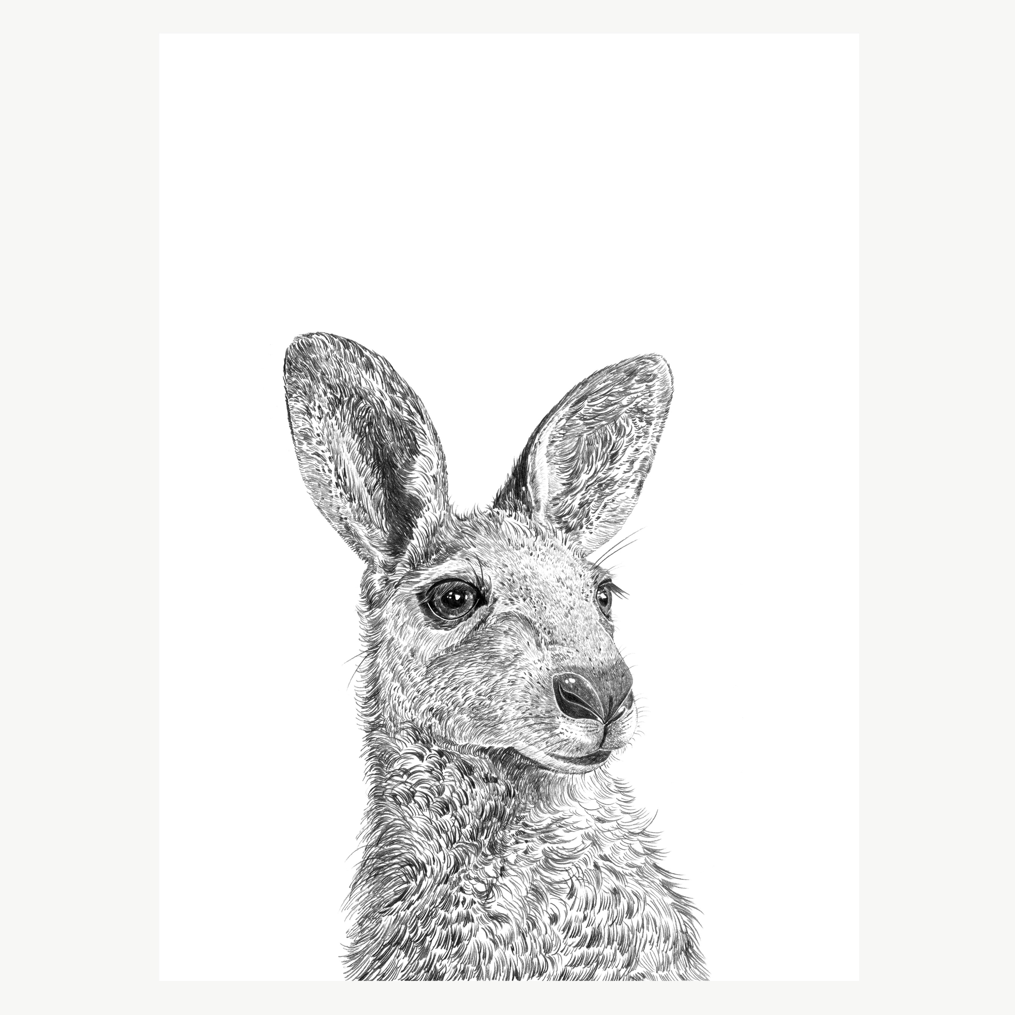 Kangaroo Print