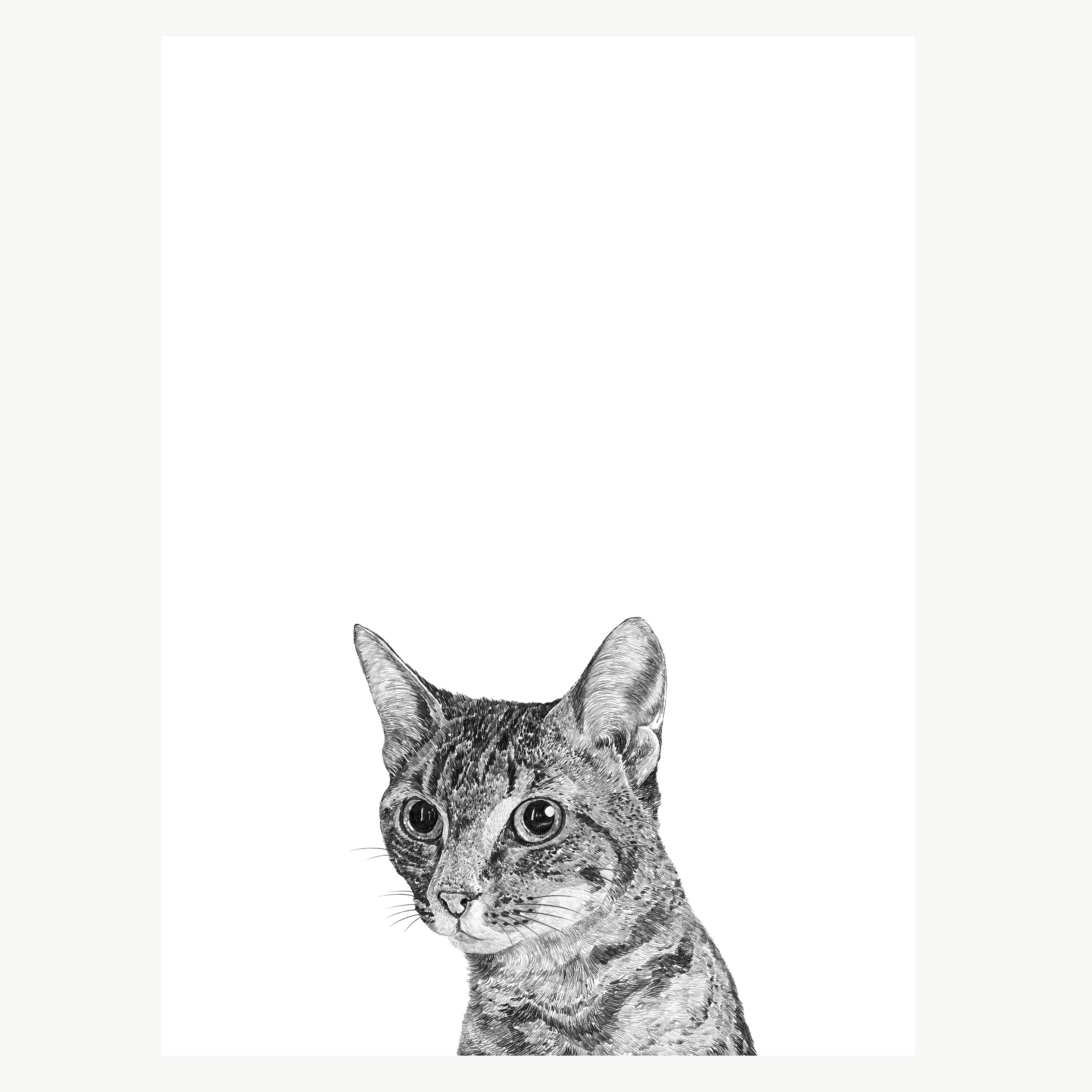 Kitten Print
