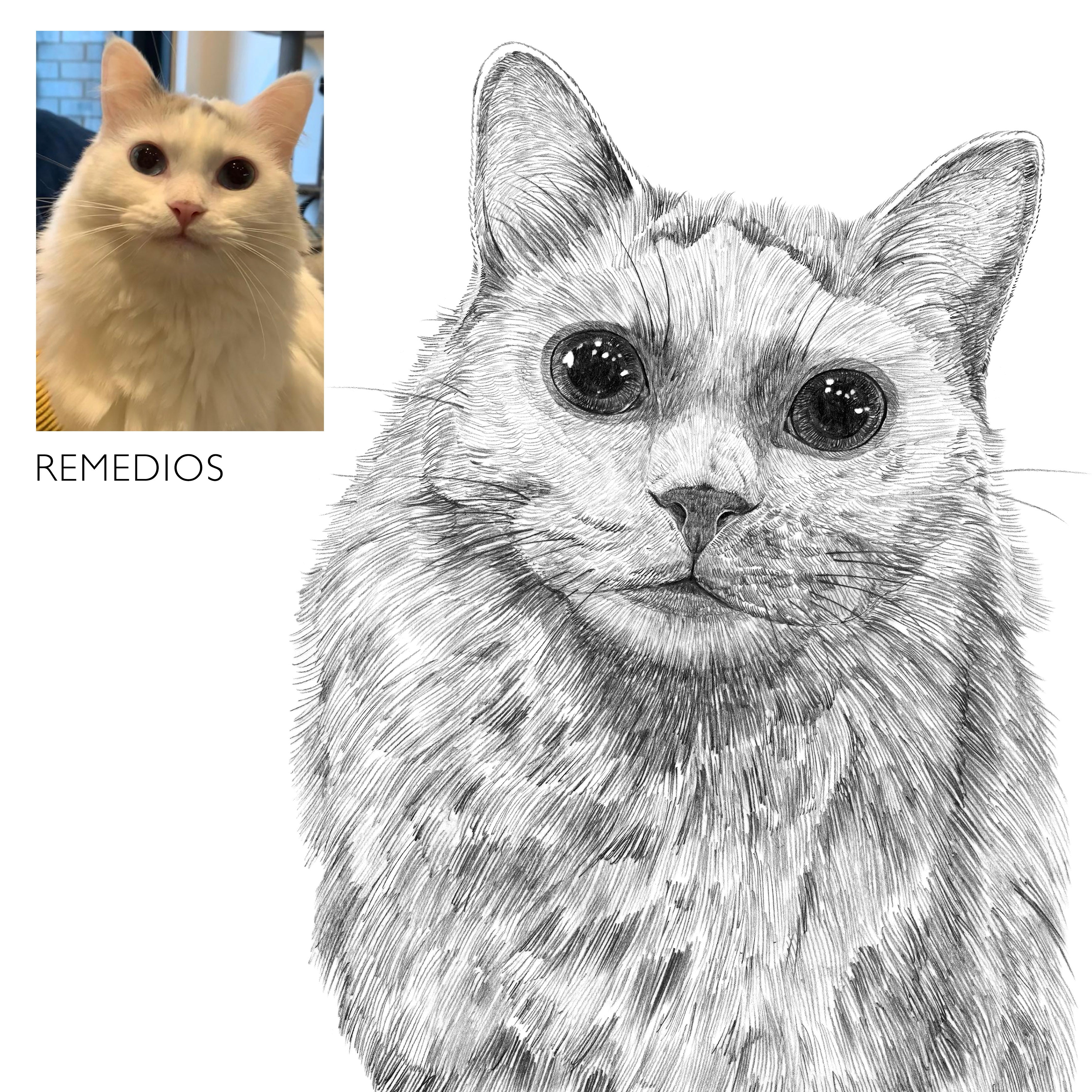 Bespoke Cat Portrait