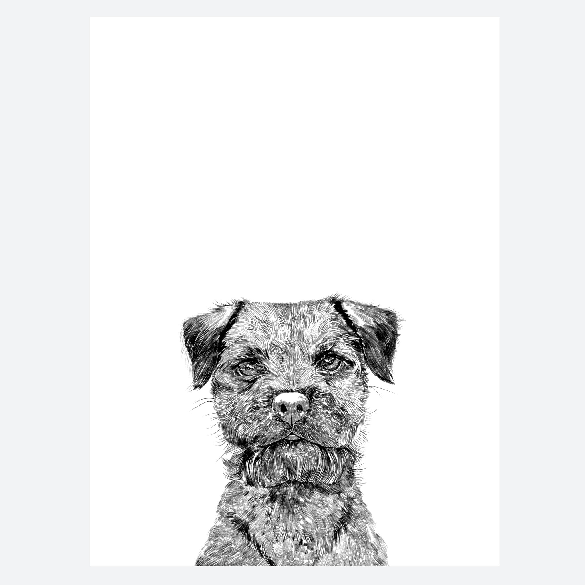 Border Terrier Dog Print