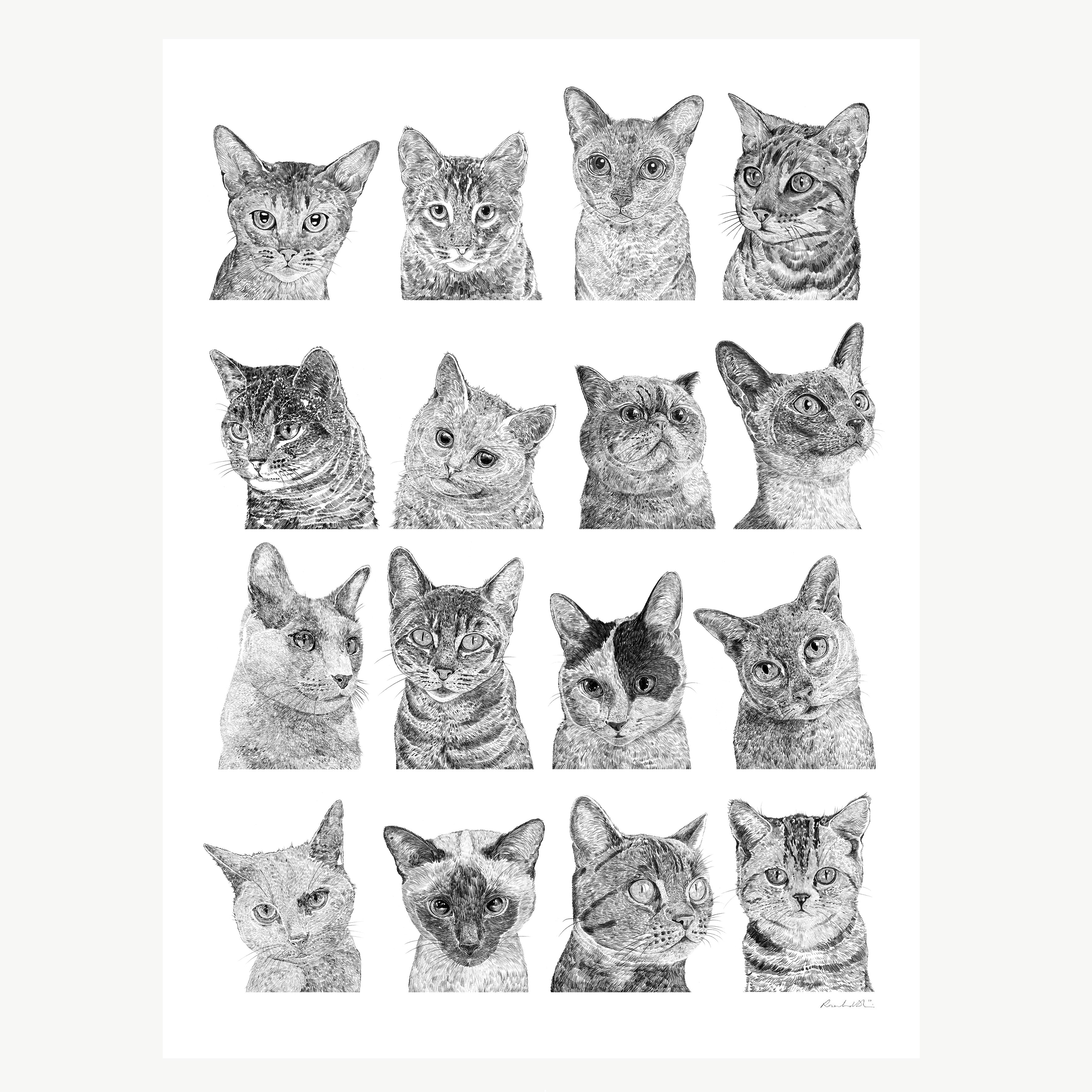 Cat Collection Print