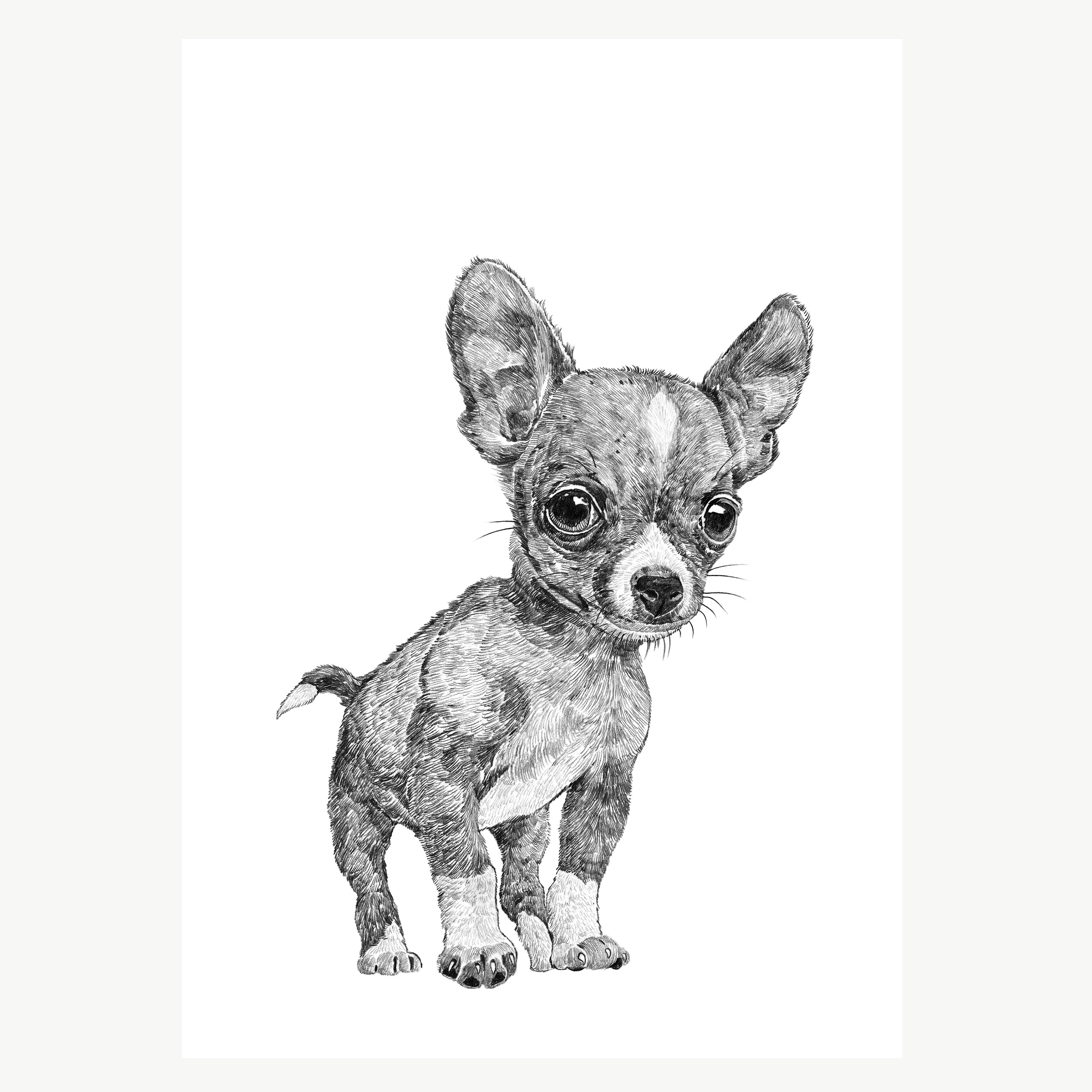 Chihuahua A4 Print