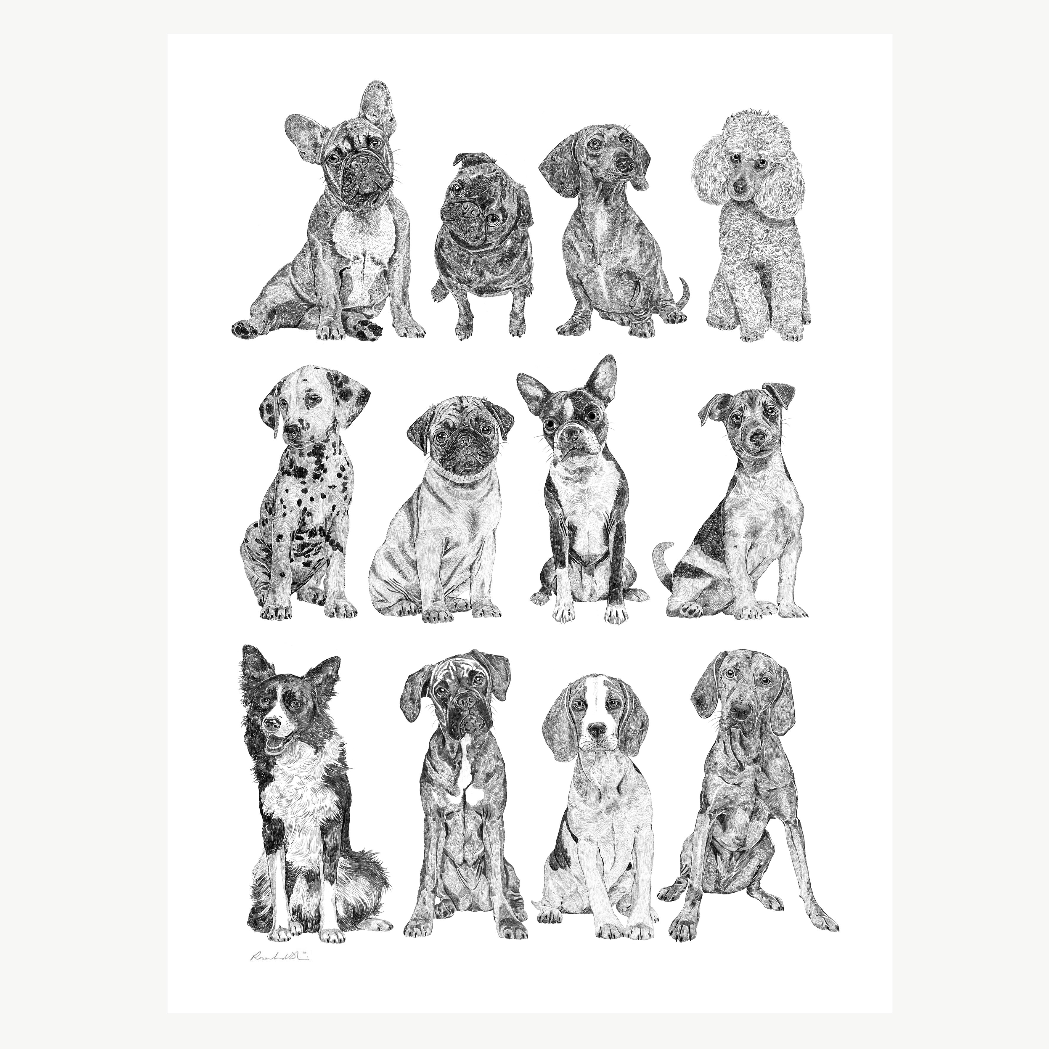 Mini Dog Collection Print