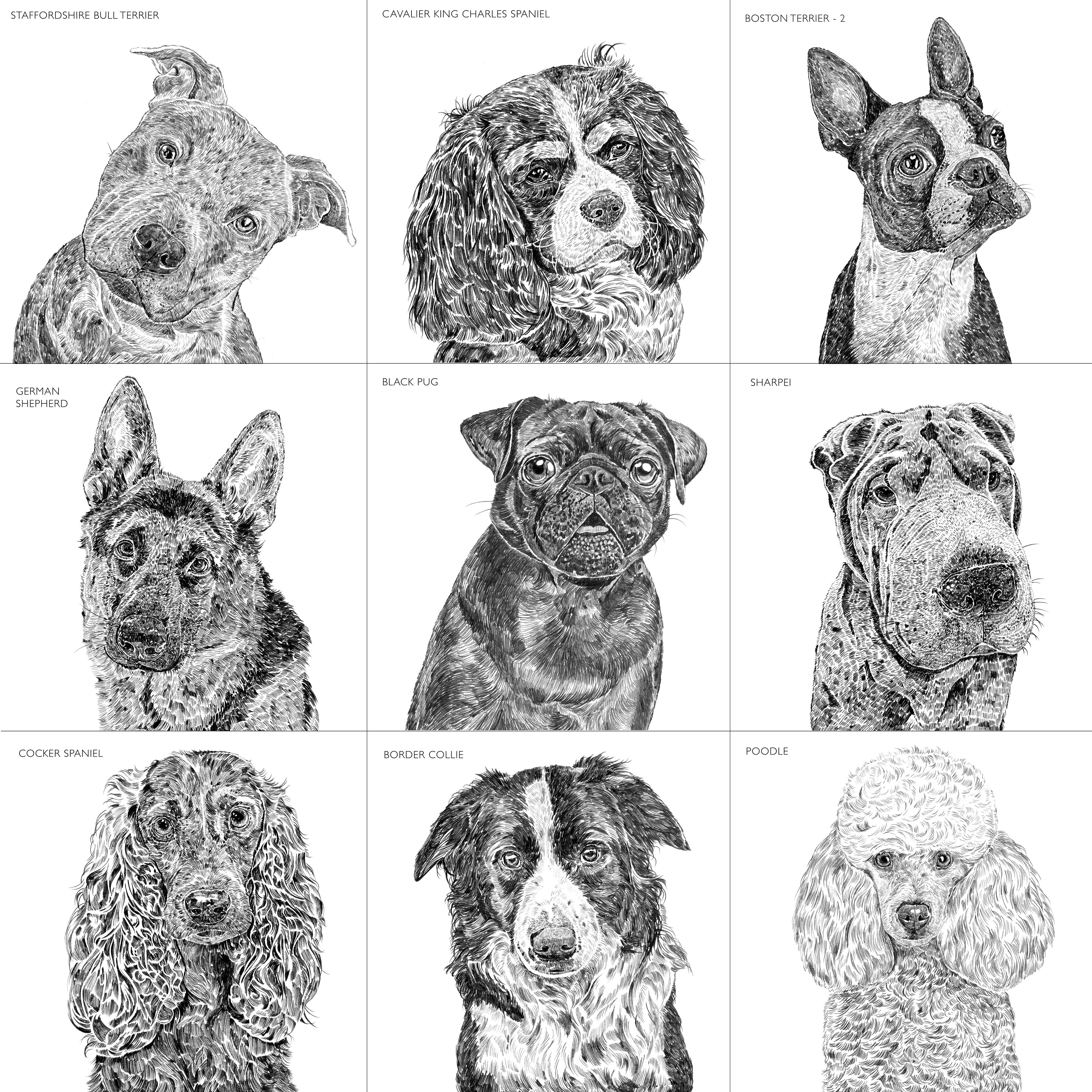 Personalised Dog Portrait Print