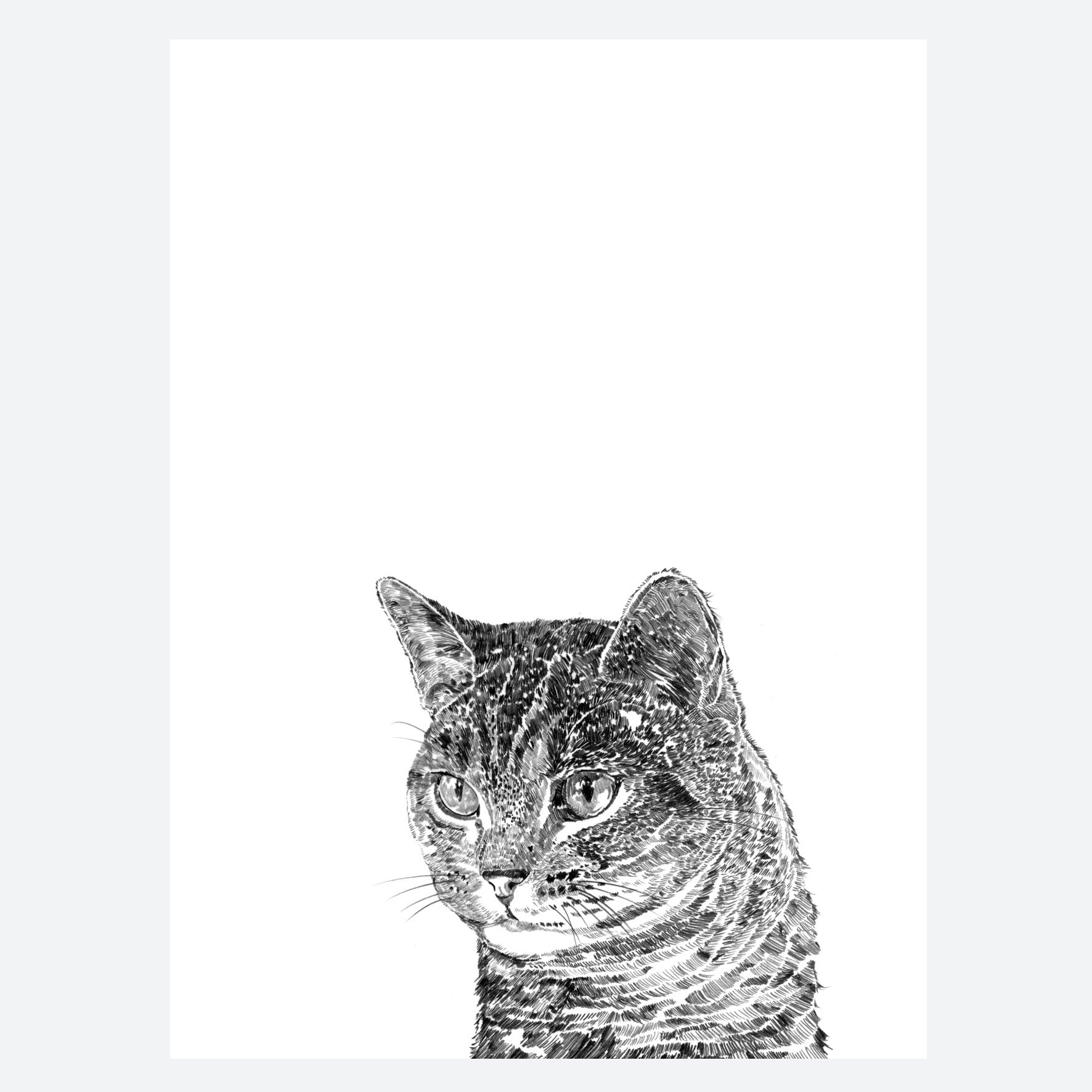 Cat - Tabby Print